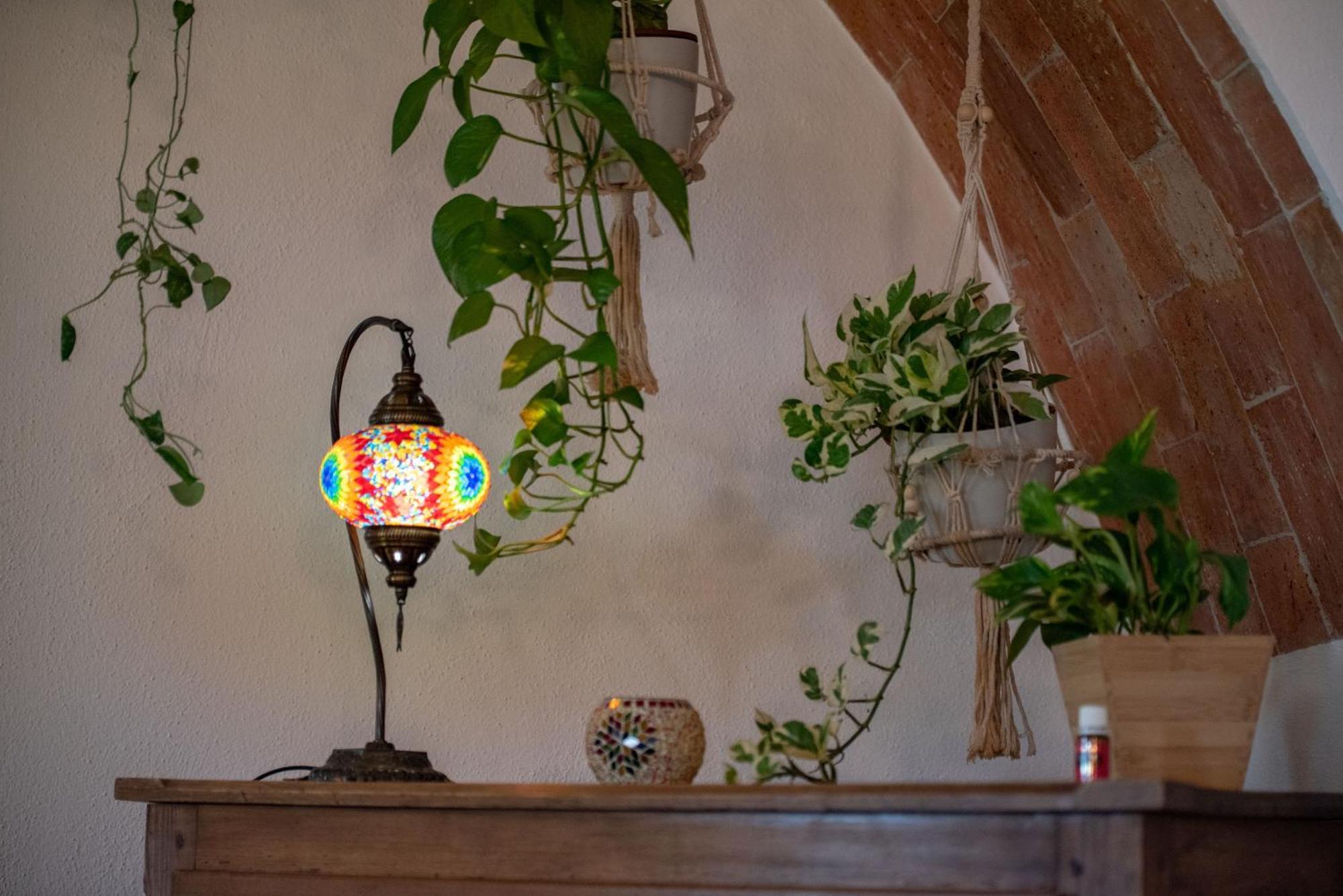 Masia Tinet Deltebre Exteriér fotografie