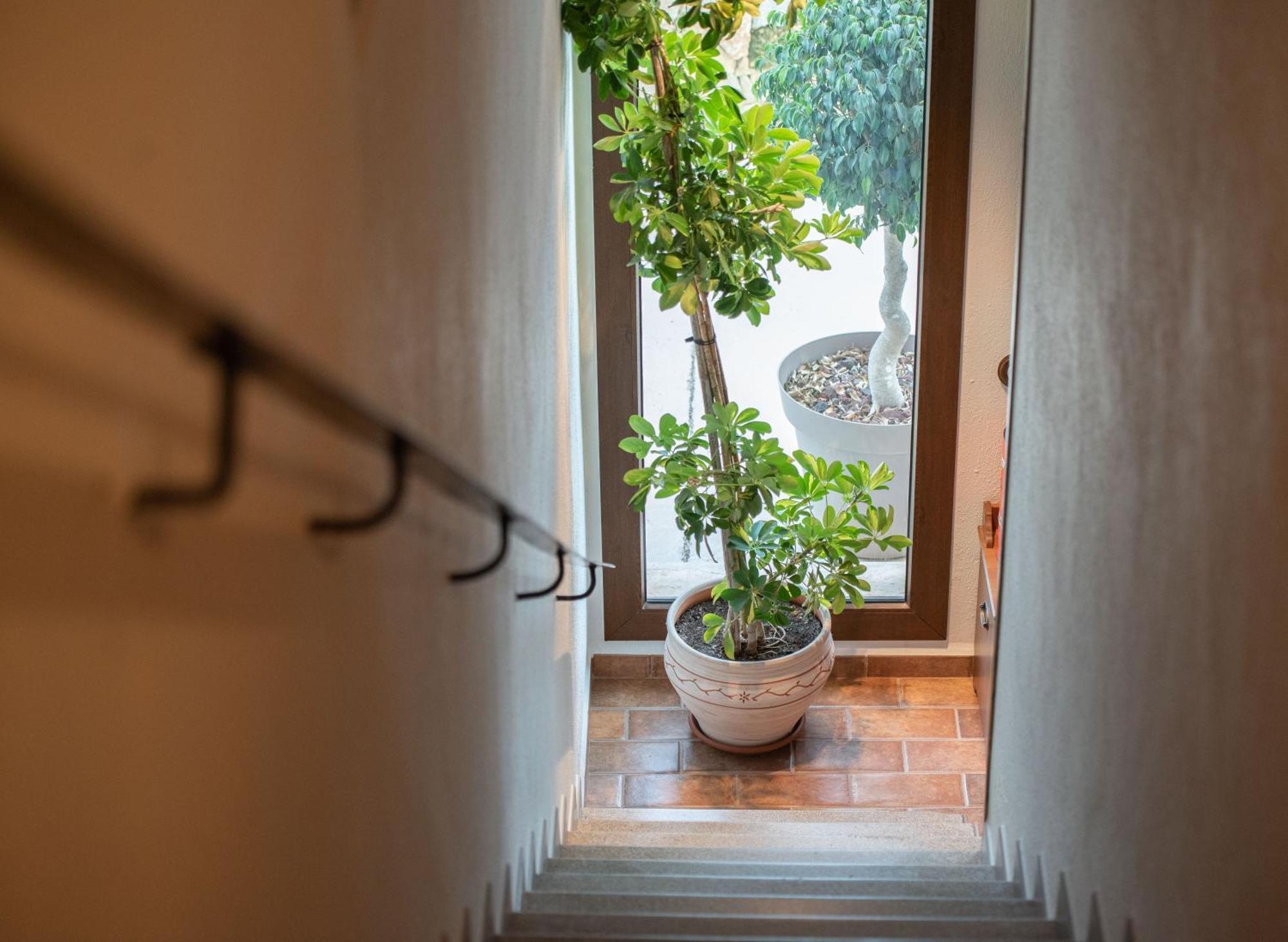 Masia Tinet Deltebre Exteriér fotografie